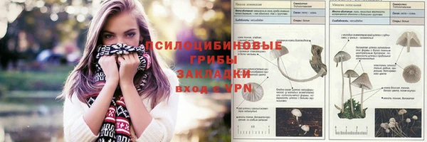 ECSTASY Алексин