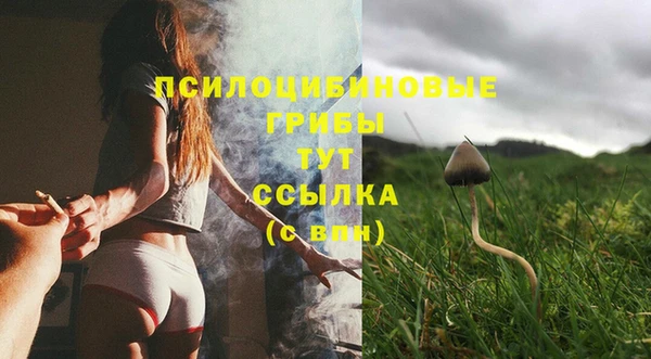 прущий лед Алзамай