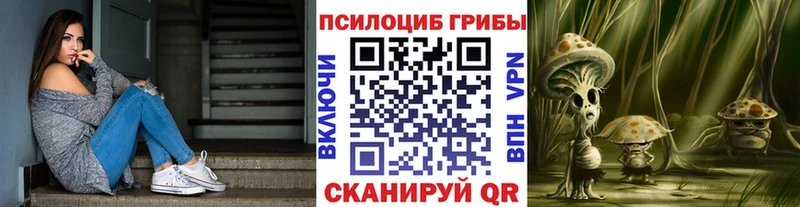 Псилоцибиновые грибы GOLDEN TEACHER  omg как войти  Тамбов 