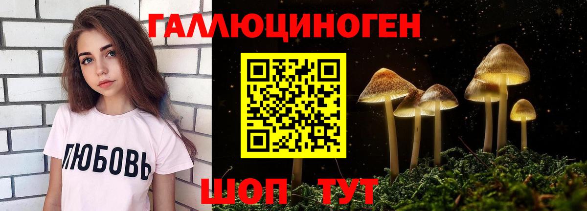 Псилоцибиновые грибы GOLDEN TEACHER Тамбов