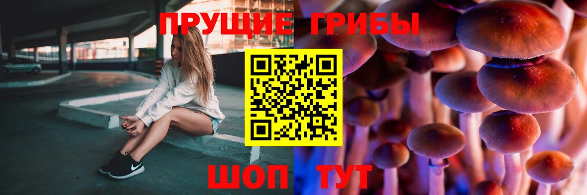 Псилоцибиновые грибы прущие грибы  Вход с VPN  Тамбов 