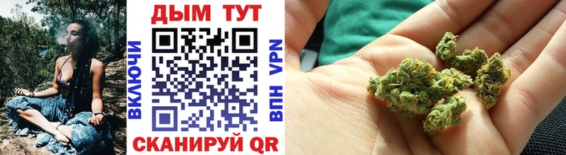 где можно купить наркотик  ОМГ ОМГ рабочий сайт  МАРИХУАНА индика  Тамбов 